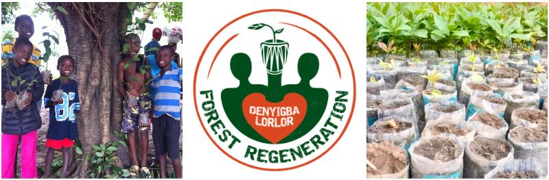 forest regeneration project in Ghana.